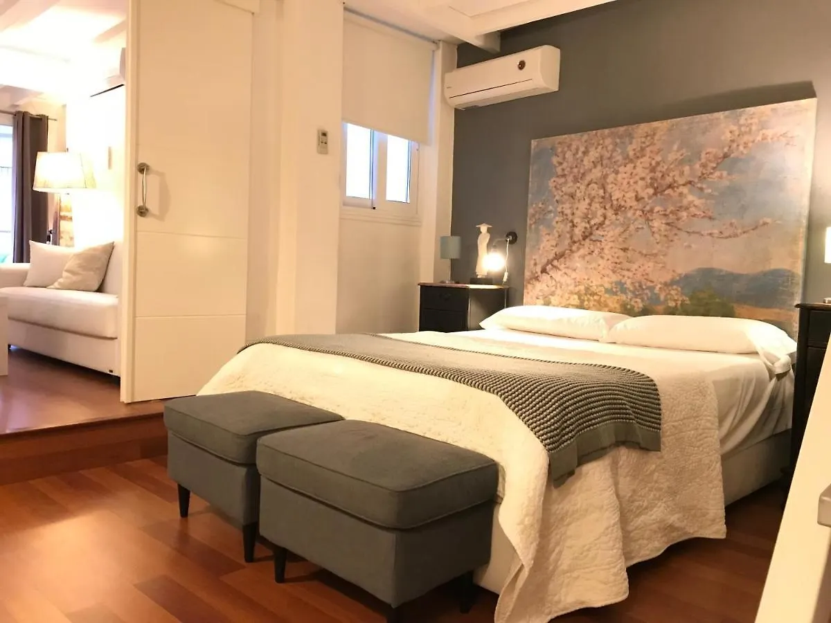 Fantastic Penthouse Malaga Center Apartment