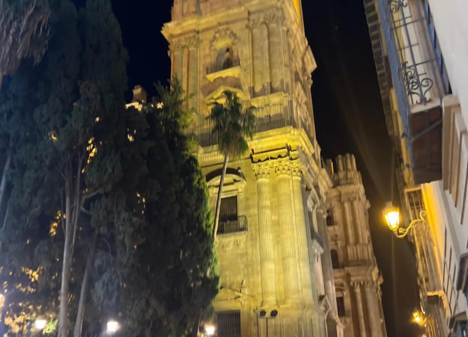 Fantastic Penthouse Malaga Center Apartment